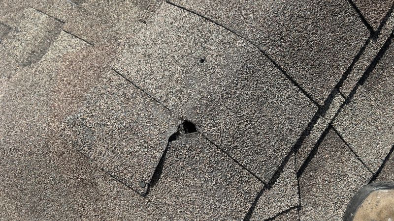Roof Repair Solutions