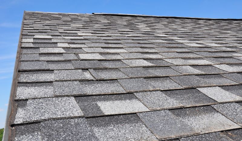 Specialized Roofing Services